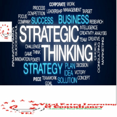 Strategic Thinking, Analysis and Planning for Sustained Organizational Success