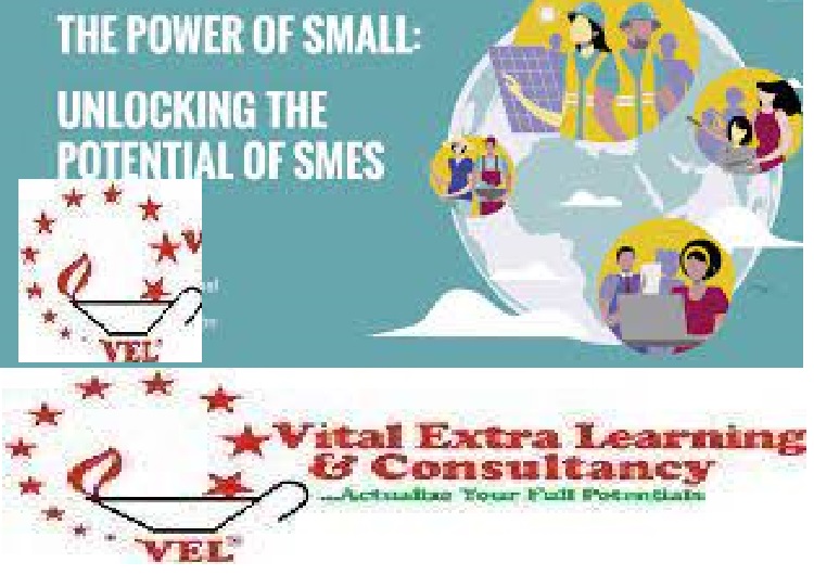 Skills Development for Entrepreneurs in SMEs and Start-up Ventures., Abuja, Abuja (FCT), Nigeria