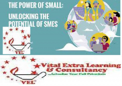 Skills Development for Entrepreneurs in SMEs and Start-up Ventures.