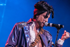 The Purple Xperience - PRINCE tribute band