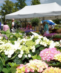 The Norfolk Garden Show 2022
