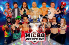 Micro Wrestling: BATTLE ROYALE Round 2!