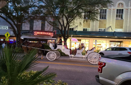 First Friday CIRCUS NIGHTS Sip and Shop Downtown Sarasota from 5-8 pm, February 4, 2022., Sarasota, Florida, United States