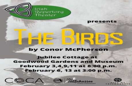Conor McPherson's The Birds, Tallahassee, Florida, United States