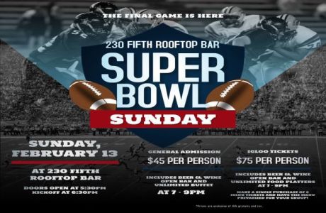 Super Bowl Watch Party at 230 5th Rooftop Empire Room, New York, United States