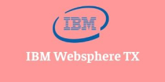 IBM WEBSPHERE TX TRAINING  Online Training