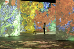 Beyond Van Gogh: The Immersive Experience