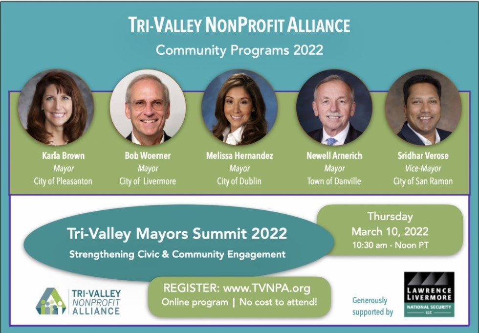 TVNPA Mayors Summit 2022, Online Event