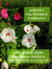 Diva Spring Craft Show