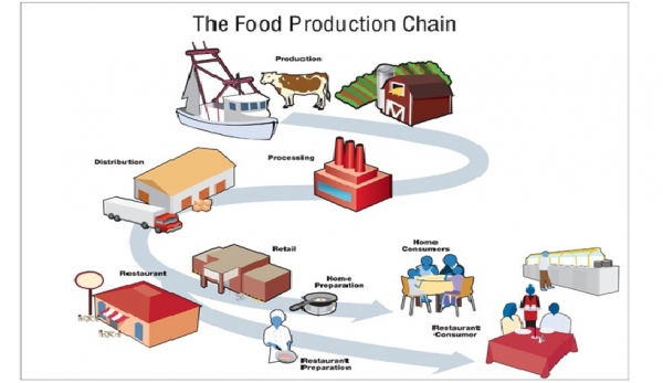 What Is Agricultural Value Chain Development