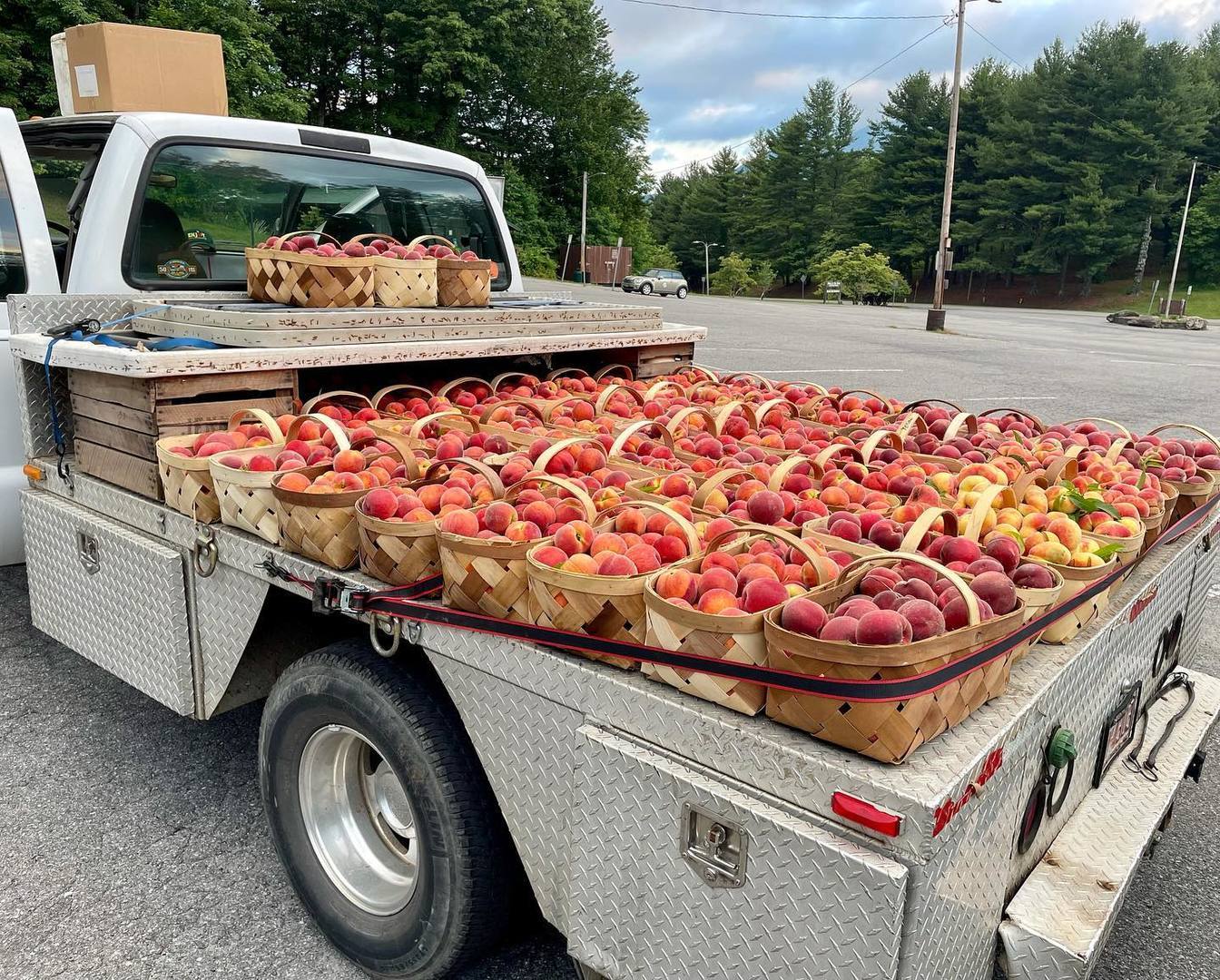 Watauga County Farmers' Market, Boone, North Carolina, United States