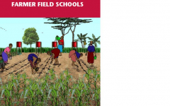 FARMER FIELD SCHOOL (FFS) TRAINING