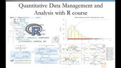 QUANTITATIVE DATA MANAGEMENT AND ANALYSIS WITH R COURSE