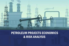 TRAINING COURSE ON PETROLEUM PROJECT ECONOMICS AND RISK ANALYSIS