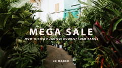 The Jungle Collective Mega Online Plant Sale!