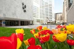 31st Annual Internal Medicine Board Review 2022- LIVE/LIVESTREAM