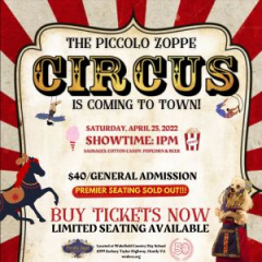 The Piccolo Zoppe Circus is Coming to Wakefield Country Day School on April 23rd!