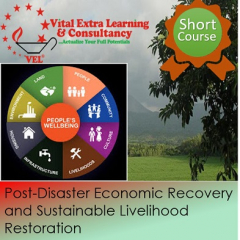 Training on Post-Disaster Economic Recovery and Sustainable Livelihood Restoration