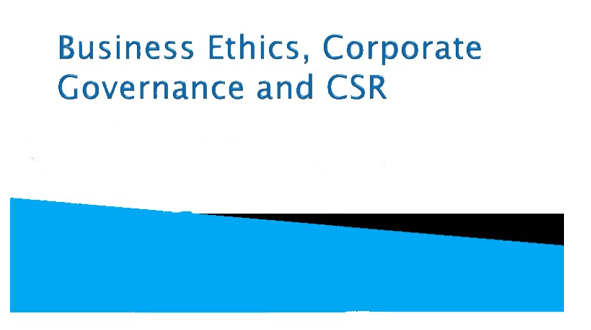 CORPORATE GOVERNANCE BUSINESS ETHICS AND CORPORATE SOCIAL RESPONSIBILITY SEMINAR, Istanbul, İstanbul, Turkey