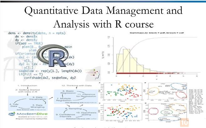 QUANTITATIVE DATA MANAGEMENT AND ANALYSIS WITH R COURSE, Istanbul, İstanbul, Turkey