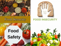 FOOD SECURITY, SAFETY AND QUALITY WORKSHOP