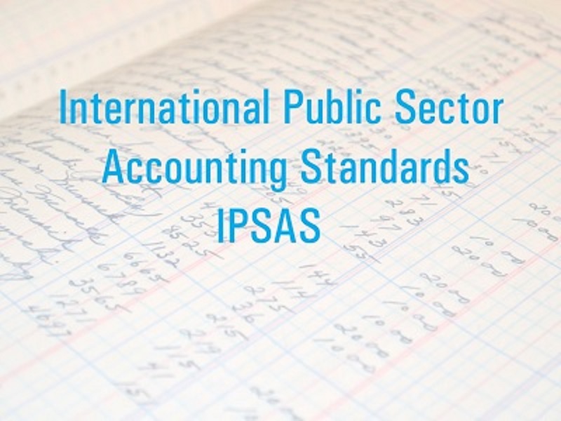 INTERNATIONAL PUBLIC SECTOR ACCOUNTING STANDARDS (IPSASs) FUNDAMENTALS TRAINING, Istanbul, İstanbul, Turkey