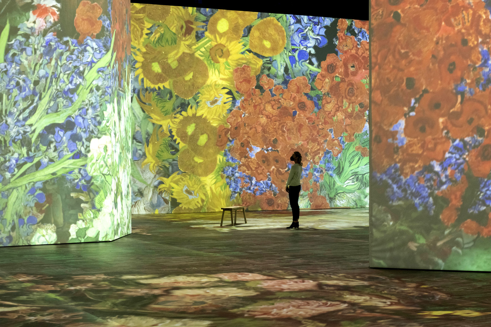 Beyond Van Gogh: The Immersive Experience, Council Bluffs, Iowa, United States