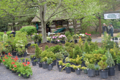 French Broad River Garden Club Foundation Spring Plant Sale