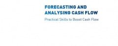 WORKSHOP ON FORECASTING AND ANALYSING CASH FLOW