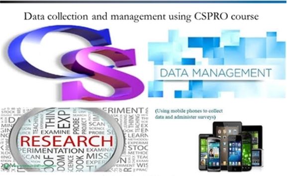 DATA COLLECTION AND MANAGEMENT USING CSPRO SEMINAR, Istanbul, İstanbul, Turkey