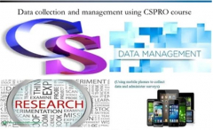 DATA COLLECTION AND MANAGEMENT USING CSPRO SEMINAR