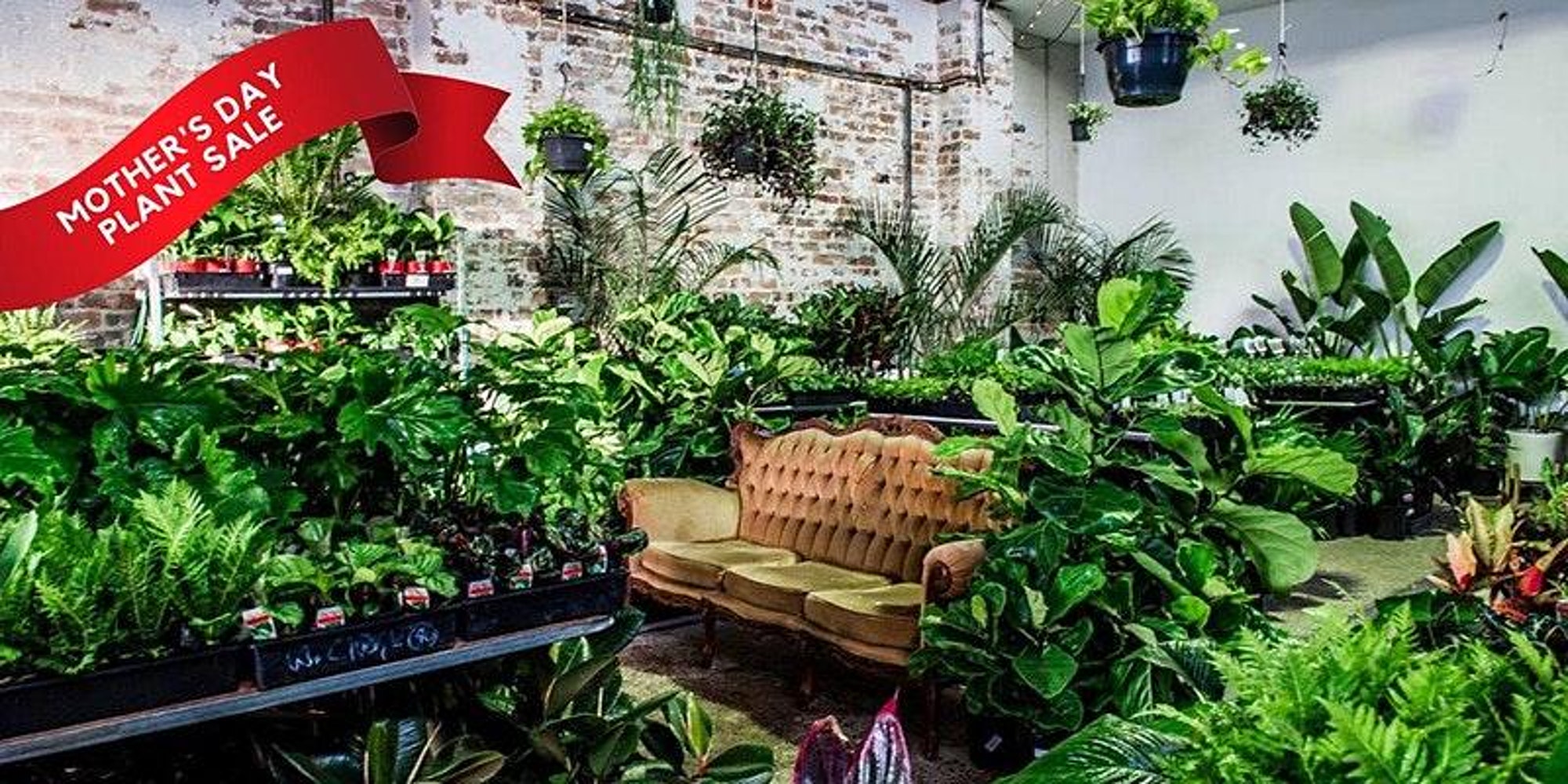 Perth - Huge Indoor Plant Warehouse Sale, Perth, Western Australia, Australia