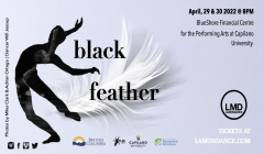 Black Feather - a slightly spookier spinoff from the classic "Swan Lake."