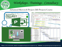 Advanced Microsoft Project (MS Project) Course