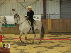 Equine EXPO and Tack Sale hosted by the Essex County Trail Association April 30, 9 AM to 3 PM