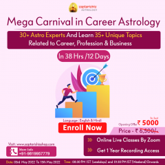 Mega Carnival in Career Astrology