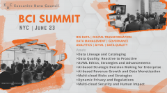 BCI Summit - Big Data Management