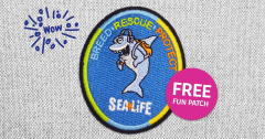 Scout Days at SEA LIFE Aquarium