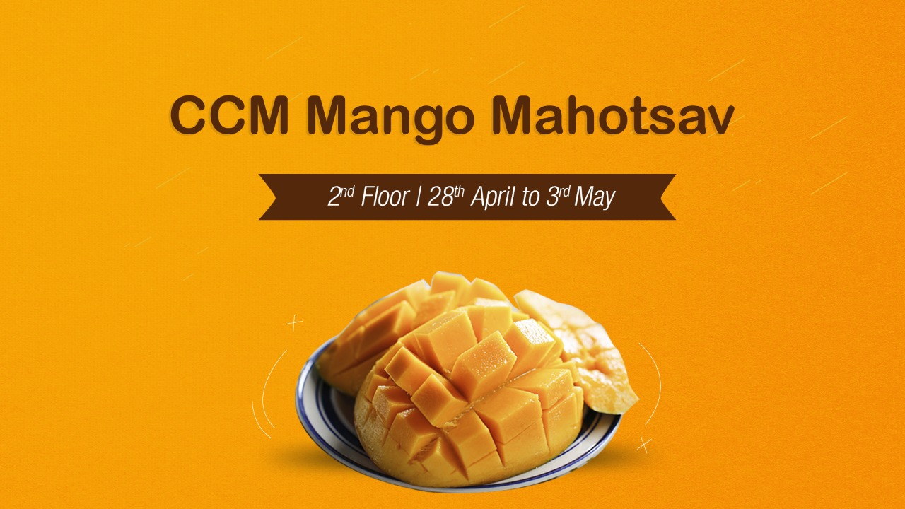 CCM Mango Mahotsav, Nashik, Maharashtra, India