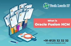 Free Oracle Fusion HCM Online Training Webinar