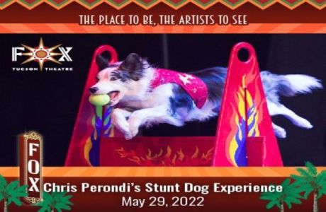 Chris Perondi's Stunt Dog Experience, Tucson, Arizona, United States