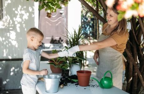 Plant a Basil or Marigold Seedling For Mom!, Vancouver, British Columbia, Canada