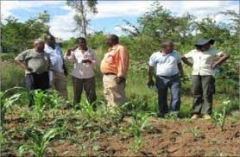 Understanding Monitoring and Evaluation of Agricultural Programmes courses