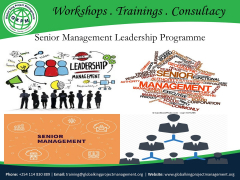 Senior Management Leadership Programme