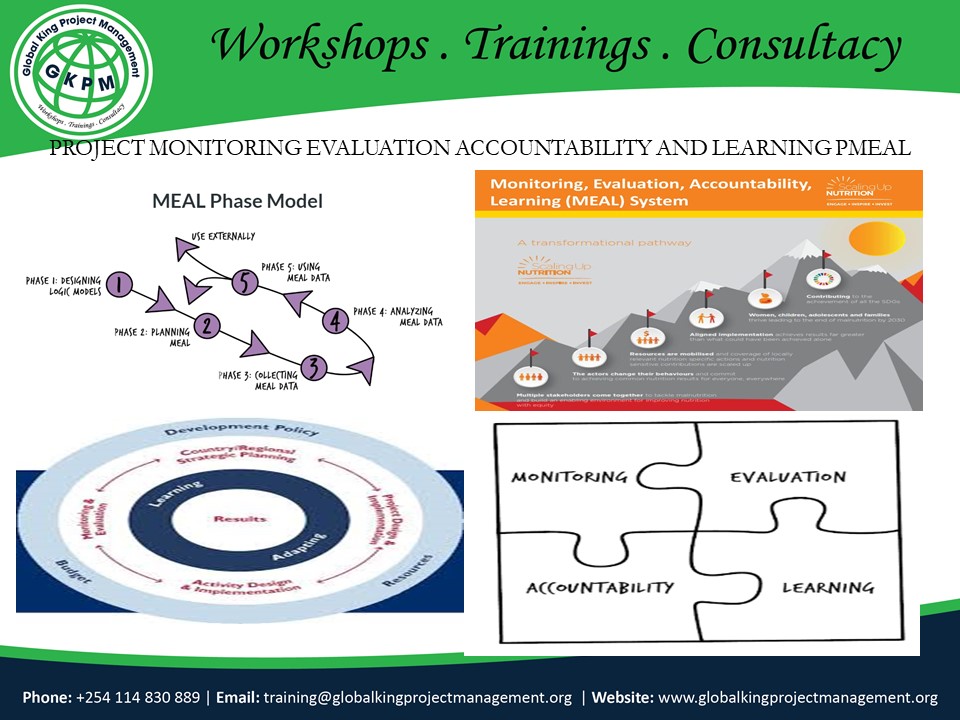 PROJECT MONITORING EVALUATION ACCOUNTABILITY AND LEARNING PMEAL, Nairobi, Nairobi County,Nairobi,Kenya