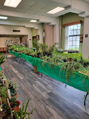 Grinnell Hall Plant and Nellies Nook Gift Shop Sale