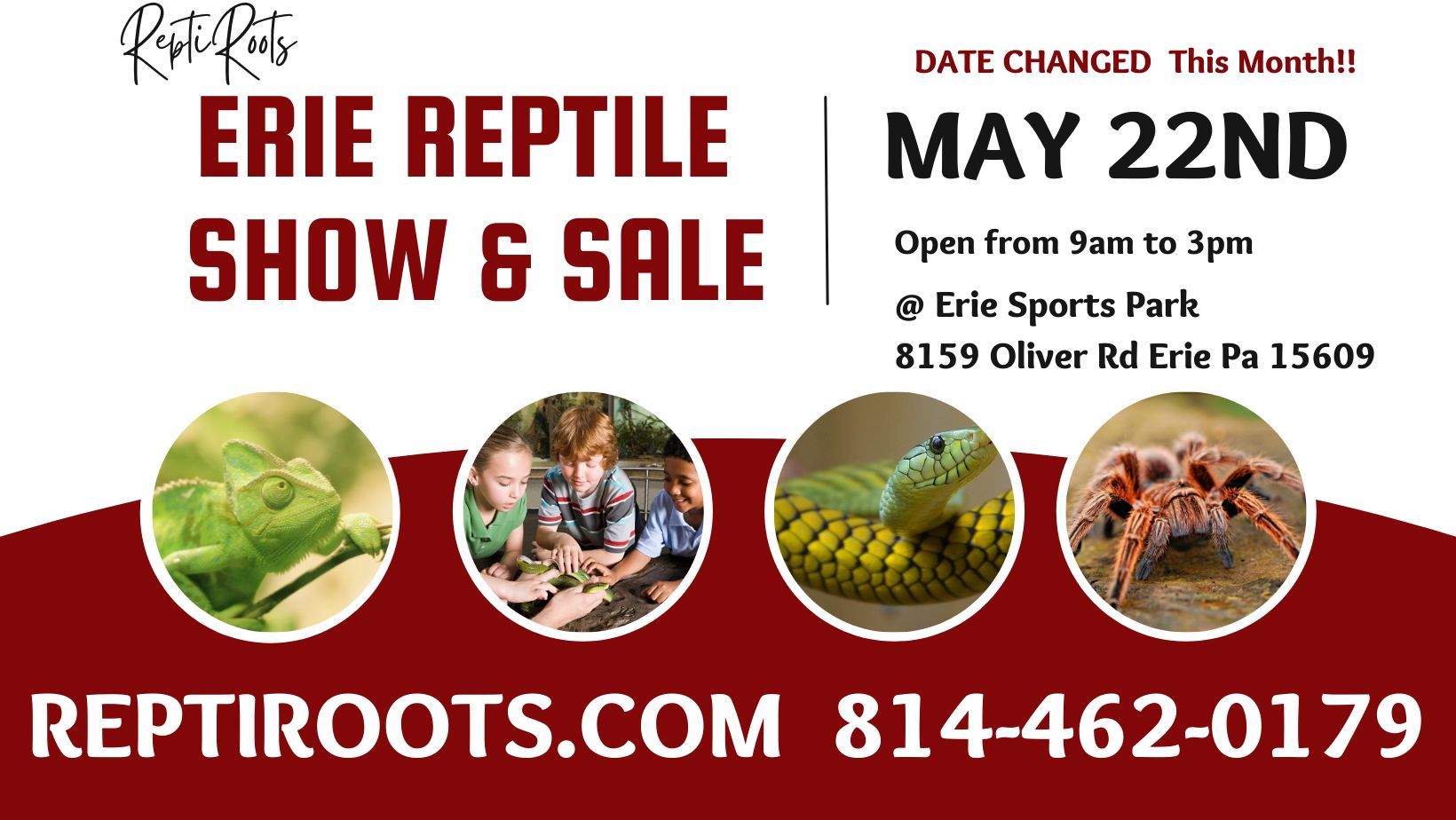 Erie Reptile Show and Sale, Erie, Pennsylvania, United States