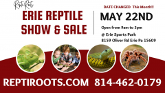 Erie Reptile Show and Sale