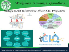 Strategic (Chief Information Officer) CIO Programme