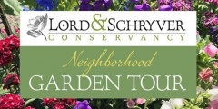3rd Annual Neighborhood Garden Tour